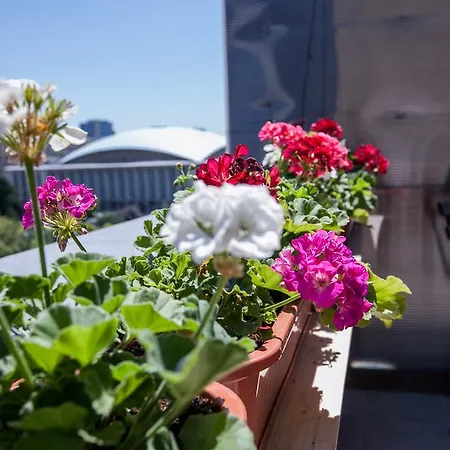 Διαμέρισμα Atheneum Center Terrace & View Flat