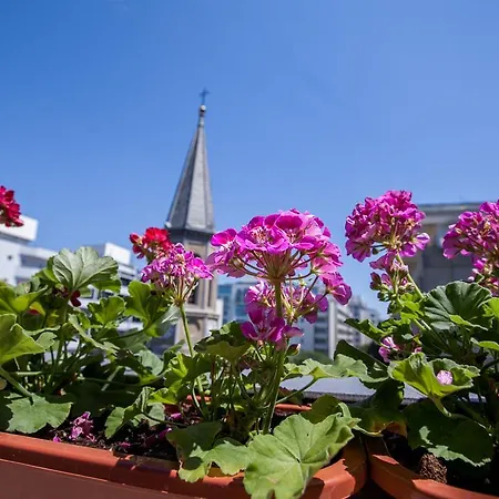 Atheneum Center Terrace & View Flat